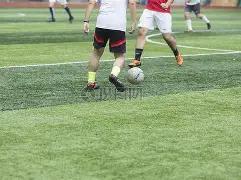 揭秘国足选,帅风云,本土名帅李,星耀娱乐,星耀娱乐官网,星耀娱乐官网玩家首选