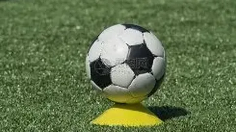 张伟丽与王嘉尔在Instagram热情互动，互加关注引热议