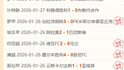 意甲裁判质疑：迪洛伦佐倒地争议，点球判罚引众说纷纭